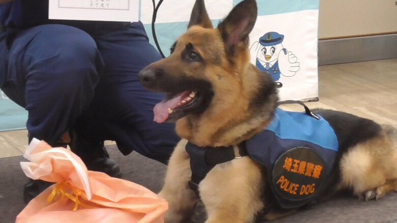 警察犬「ゼスト号」