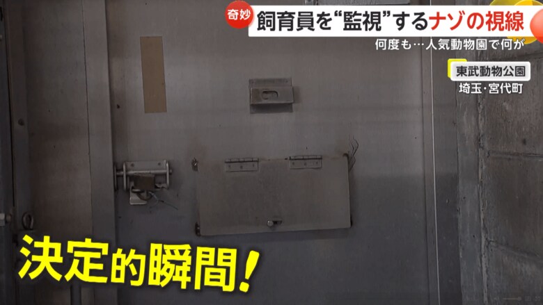 「何か」のカゲが動く小窓