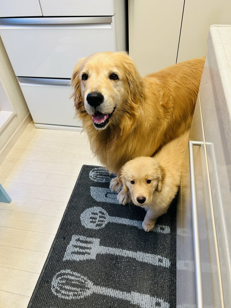 提供：efrinmanさん