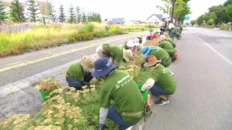 町民が参加する「はなのわガーデンサポーター」