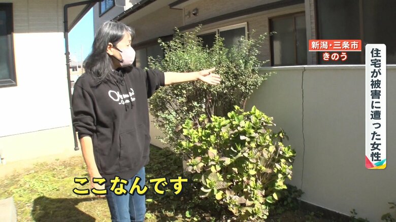 塀にできた大きなひび割れ