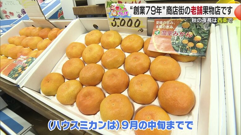 ハウスみかんが美しく陳列