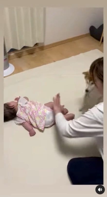 再び、お尻ペンペン（提供：SORAさん）