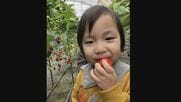 ｢この気持ちをどこに持っていけば…｣ 死亡した3歳児の両親が取材に応じる 車を運転の男｢ワインや焼酎飲んだ｣ “危険運転致死傷”で送検 【福岡発】