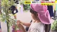 「ティラノサウルスになる」幼稚園児が短冊に願いごと　高さ123メートルの展望室で七夕の飾り付け　福岡市の福岡タワー