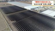 農業の仕組みを変える　仙台の農業法人の挑戦　田んぼの上の太陽光パネルで自社生産工場の電気をまかなう