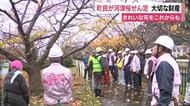 河津桜のせん定講習会　町の財産を守りたい！きれいな花をこれからも