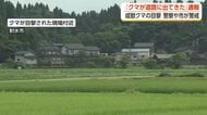 太閤山ランド付近にクマ出没か　射水市内でクマ目撃情報が相次ぐ、複数個体の可能性　市や警察がパトロール