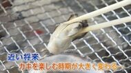 カキの常識を覆す 福岡市の新ブランド「唐泊恵比寿かき」 新品種は“産卵せず”…冬の味覚を夏場でも味わえる