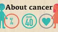 4人に1人は「がん」で死亡する時代…40代だって他人事じゃない。その割合は“何パーセント”？ 