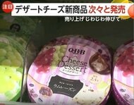 デザートチーズ人気じわり　カロリー・糖質抑えめで「罪悪感ない」の声も　期間限定フレーバーなど新商品が次々登場