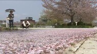 “季節外れの暑さ”続く　福島県内で連日の夏日