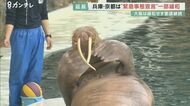 12日から”宣言”延長…兵庫・京都では「一部緩和」で水族館や商業施設が「営業再開」の準備に