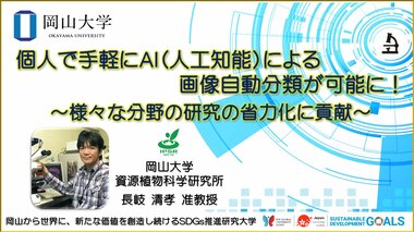 【岡山大学】個人で手軽にAI(人工知能)による画像自動分類が可能に! ~様々な分野の研究の省力化に貢献~