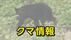 【クマ情報】富山県内　5月14日　富山市豊田で子グマの目撃か