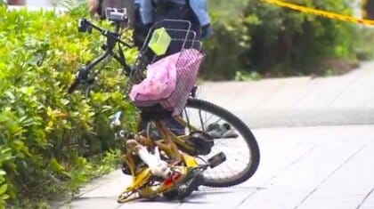 タワーマンションから70歳男性転落　下にいた男性巻き込まれ2人とも死亡　大阪梅田駅から約1キロのマンション