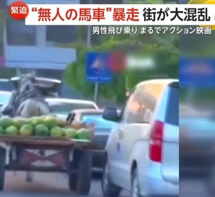 “無人の馬車”が暴走で大混乱　車追い越しぶつかりガツガツ突進　男性が映画さながらの“飛び乗り”…馬止まる　シリア