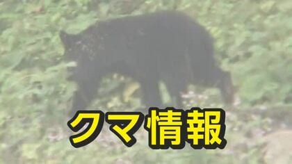 高岡市でクマの目撃情報　市が注意呼びかける