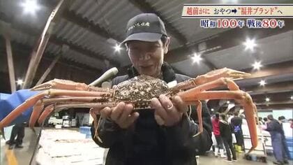“黄色いタグ”でおなじみ「越前がに」　江戸時代にはすでに特産物だった　恵まれた漁場、資源保護への意識が持続可能なブランドを確立　福井