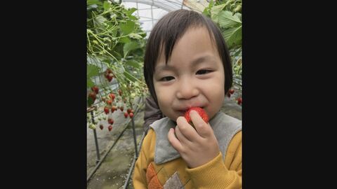｢痛かったよね…苦しかったよね…｣ 死亡した3歳児の両親が取材に応じる 車を運転の男｢ワインや焼酎飲んだ｣ “危険運転致死傷”で送検 【福岡発】
