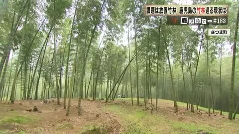 「放置竹林が“資源”に変わる瞬間」鹿児島・大崎町の竹炭×障がい者就労モデルが示す全国展開の可能性