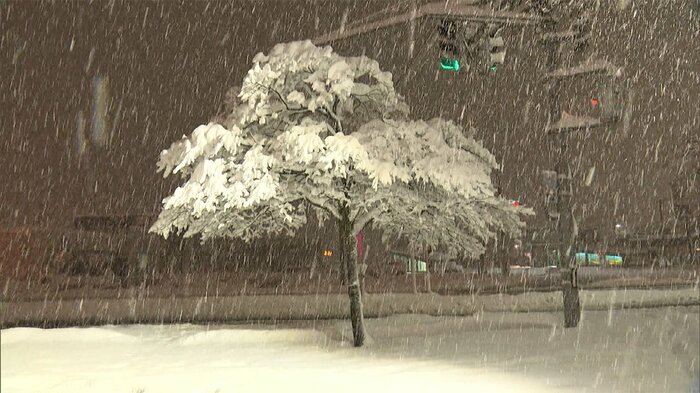 感染拡大・大雪で郵便に遅れが出ており、速達や書留の利用を呼びかけている