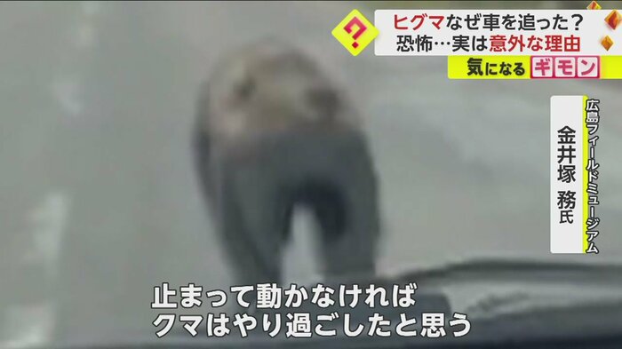 (視聴者撮影)