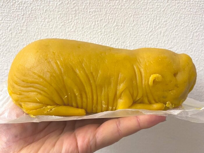 インパクトある菓子として誕生 提供:AQUARUMU×ART átoa