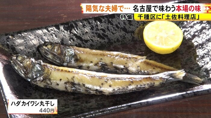 ニュースONE