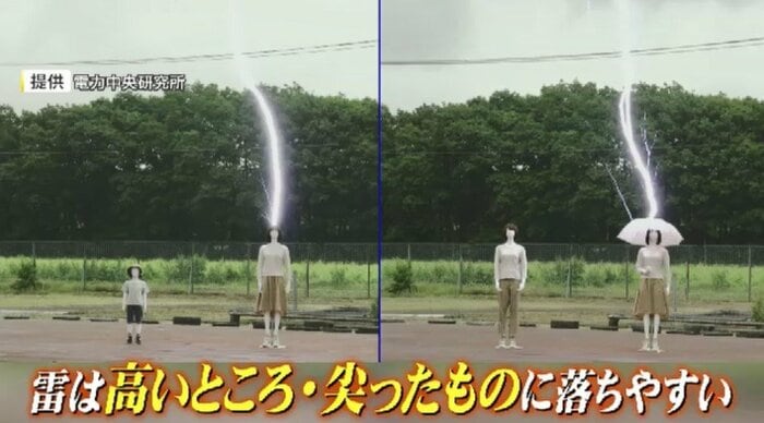 雷は高いところやとがったものに落ちやすい(提供:電力中央研究所)