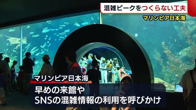 「来場者の分散化を」 マリンピア日本海がとった”ある工夫“【新潟市中央区】