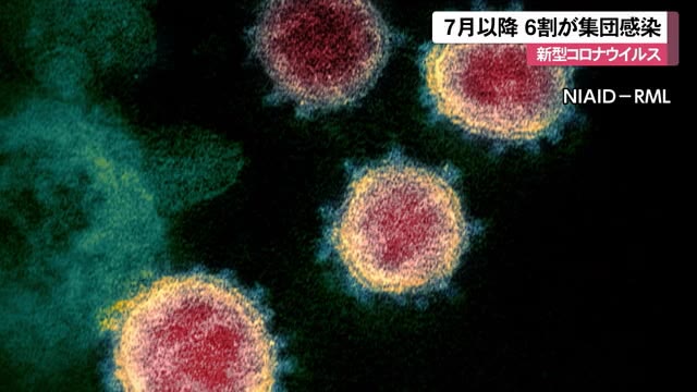死亡者の6割が集団感染