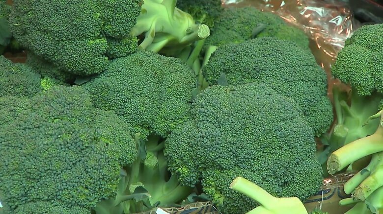 健康野菜「ブロッコリー」の価格高騰！　5月の卸売り価格は平年の約2.5倍に…原因は天候不順等による“生育遅れ”｜FNNプライムオンライン
