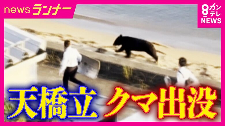 【現場報告】観光協会も「想定外」　日本三景・天橋立に“クマ”出没　海を泳ぎ砂浜を走り約6時間後に捕獲　観光地では“外国人”へのクマ周知も課題か｜FNNプライムオンライン
