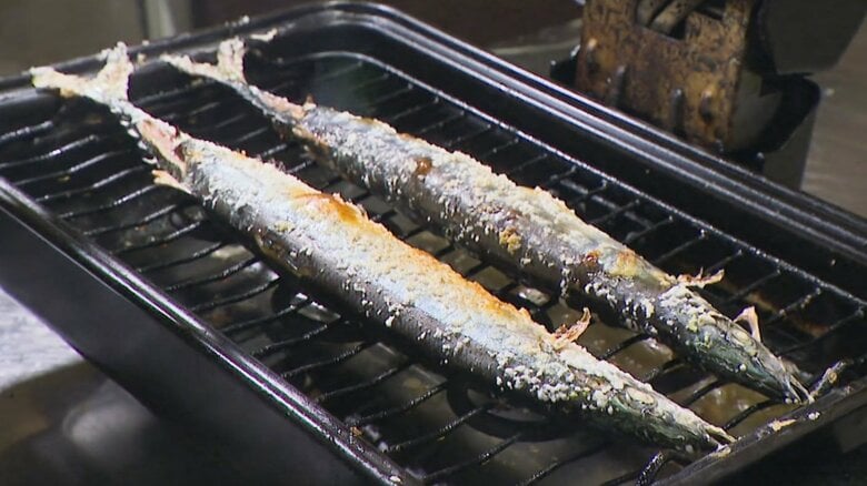 「美味しい食べ方は塩焼き」プロ直伝の焼き方で楽しむ今年の特大サンマ　不漁から一転「脂ののりが最高」｜FNNプライムオンライン