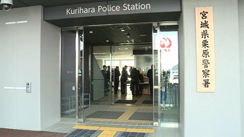 伐採作業中に落下した木に接触か　７０代男性が意識不明の重体〈宮城・栗原市〉｜FNNプライムオンライン