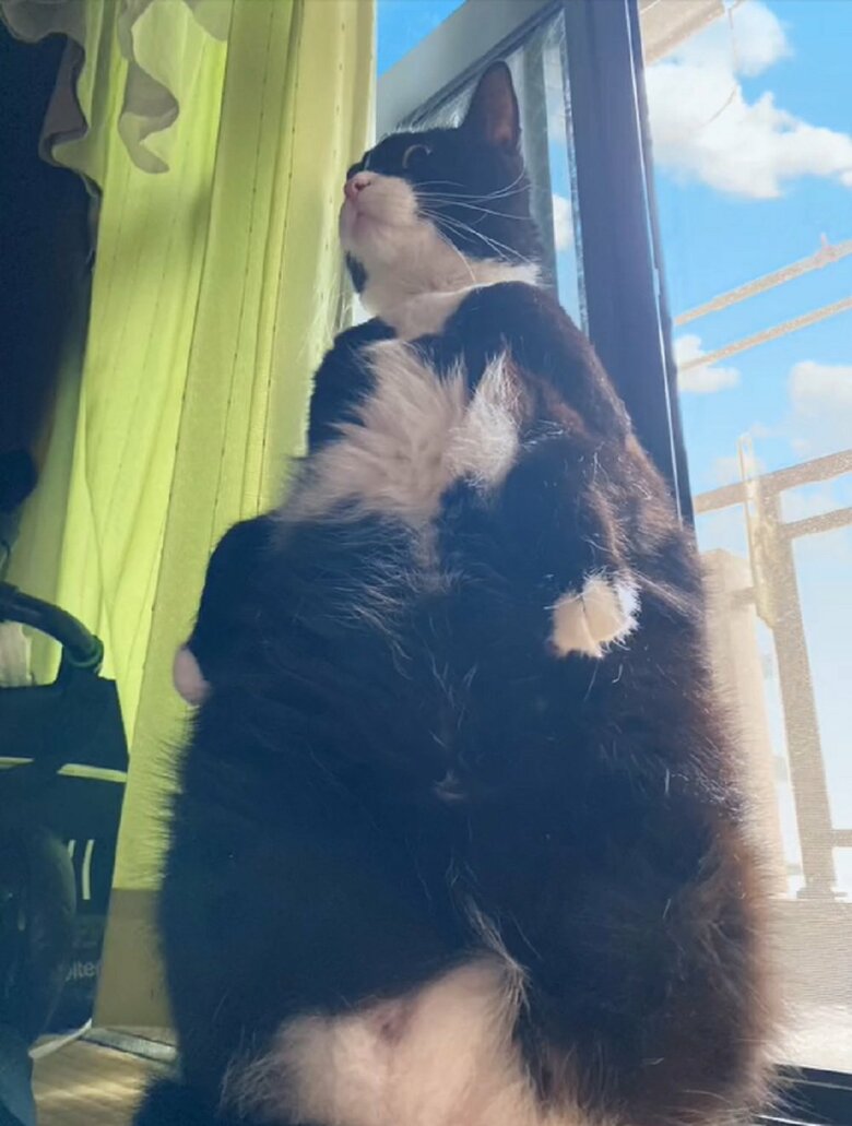 下からのアングル