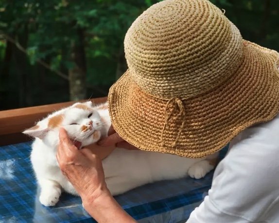 ご機嫌なメイくん（提供：MARCOさん）