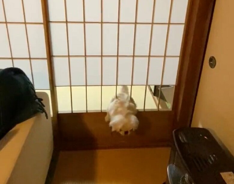 勢いをつけて…