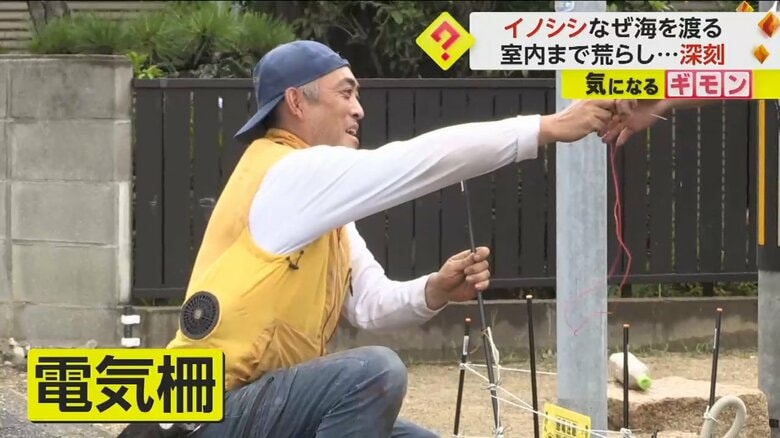 イノシシが入らないように電気柵が設置された