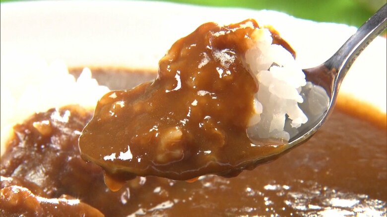 遊佐カレー レトルト・パプリカ 