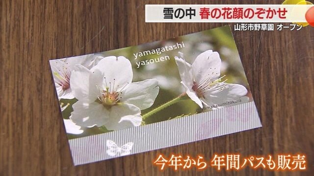 年間パスポート（1500円）は購入日から1年間有効。季節や月ごとに変わりゆく野草園を楽しめる
