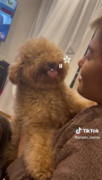 提供：ピン太郎ママさん