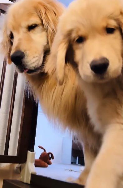 提供：efrinmanさん