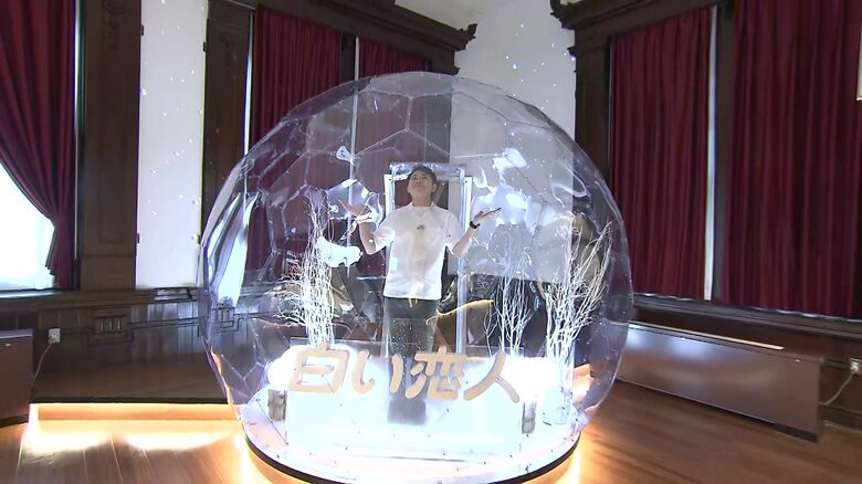 気になる仕掛けも多い