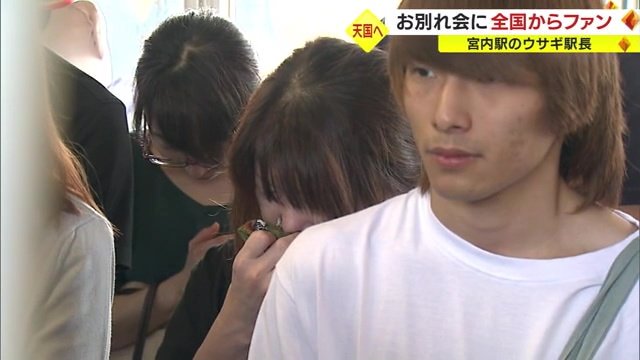 涙を流し悲しむファンの姿も…