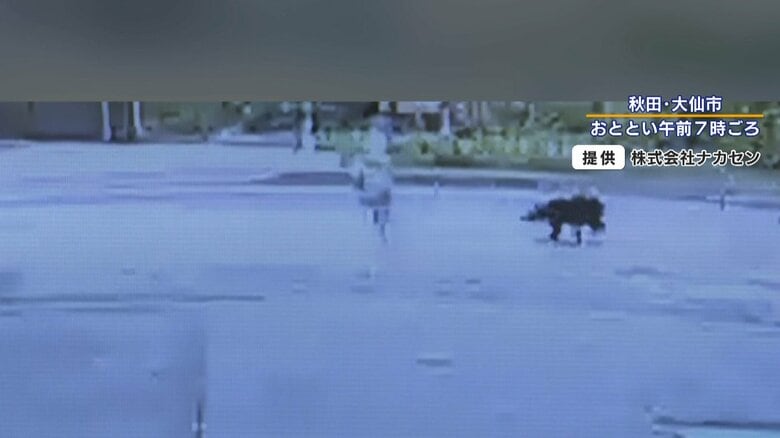 女性がいつものように歩いていると…背後から突然現れ襲いかかるクマ