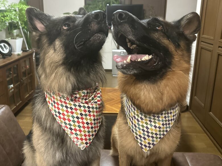 お揃いでツーショット