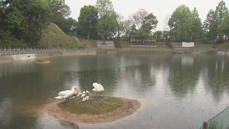 日本経済大の敷地内にある大きな池