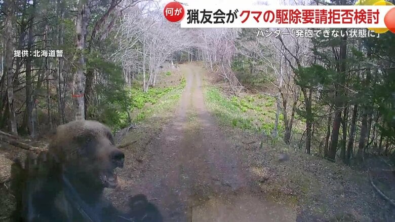 ヒグマが車に突進してフロントガラスとワイパーを破壊する様子
